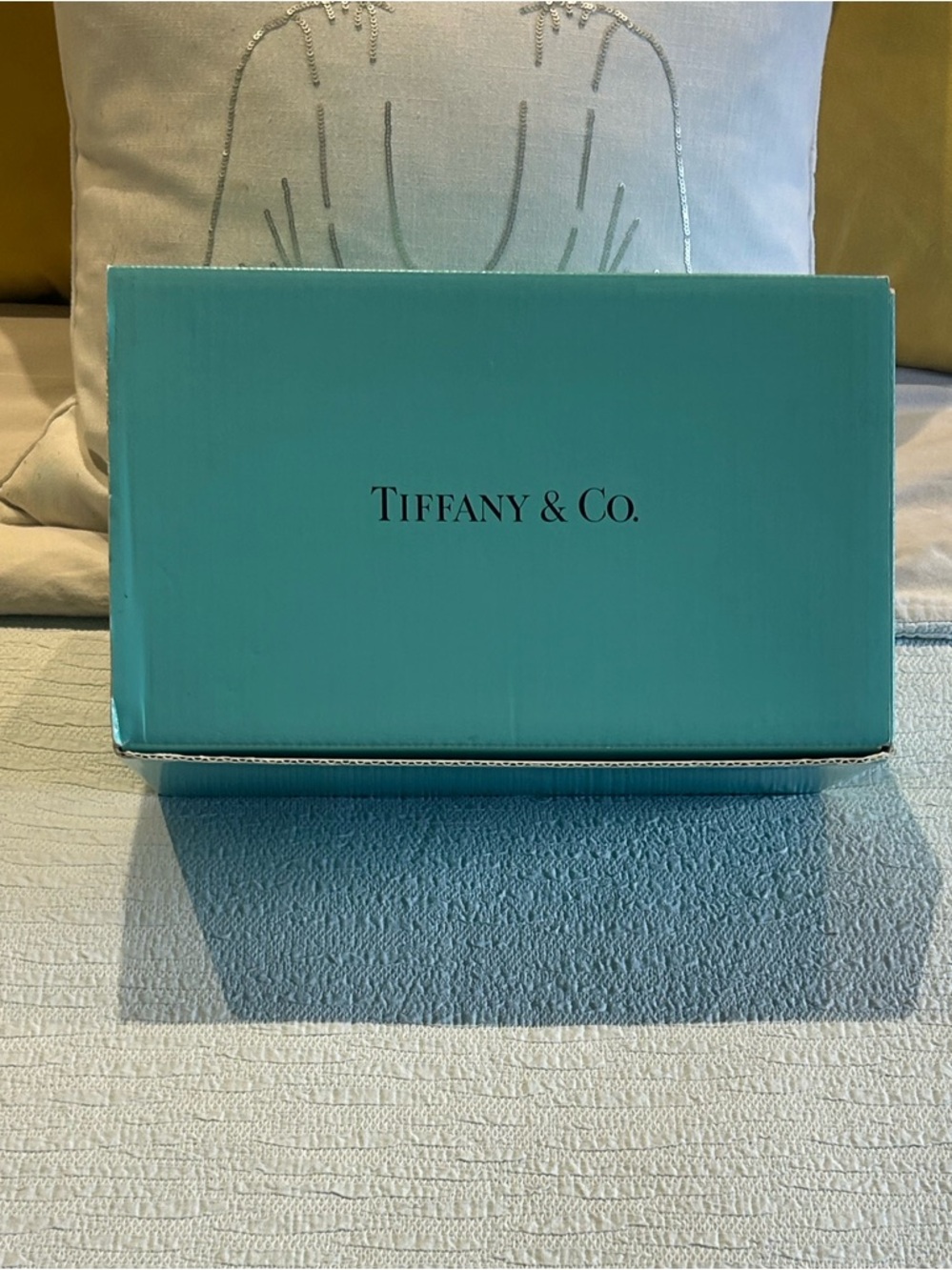 Tiffany & Co. Robin's Egg Blue Presentation Box
